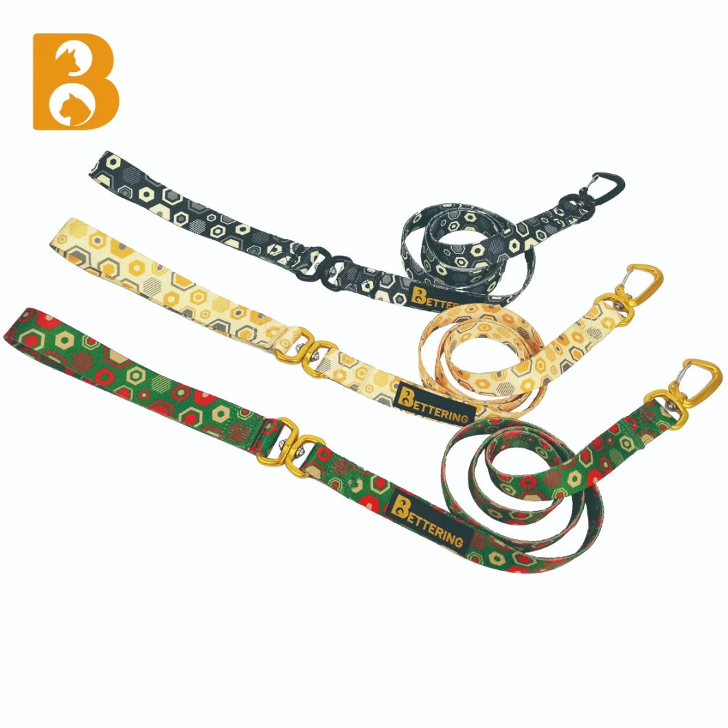 2023 New Design Multicolor Print Aluminum Alloy Pet Leash