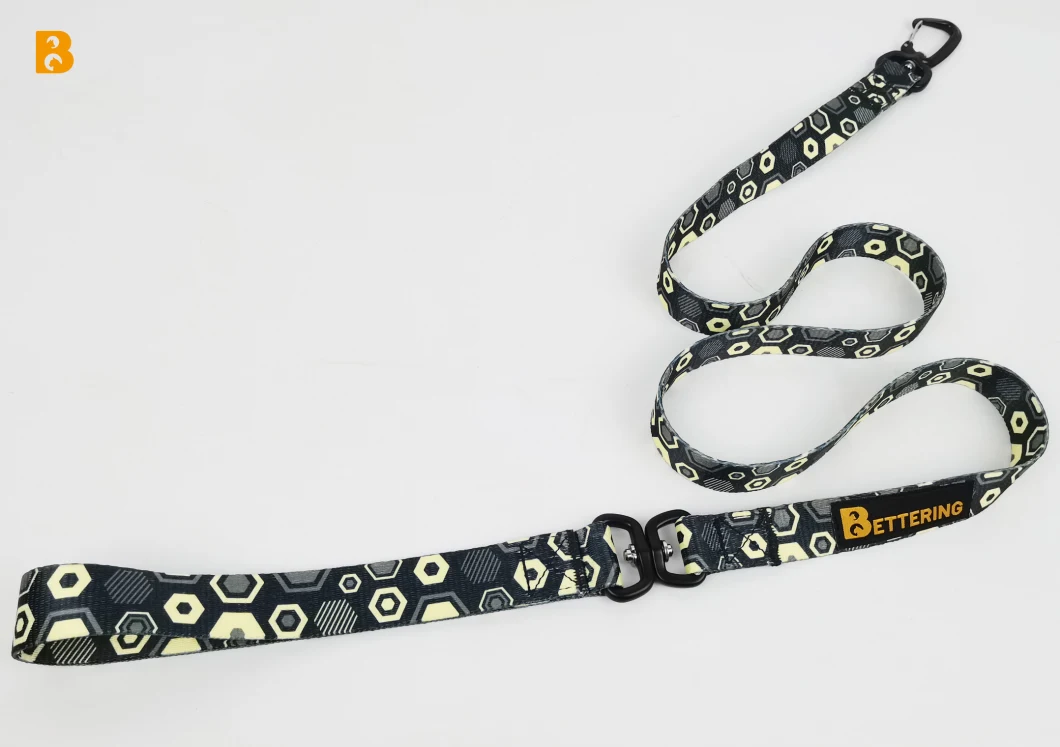 2023 New Design Multicolor Print Aluminum Alloy Pet Leash